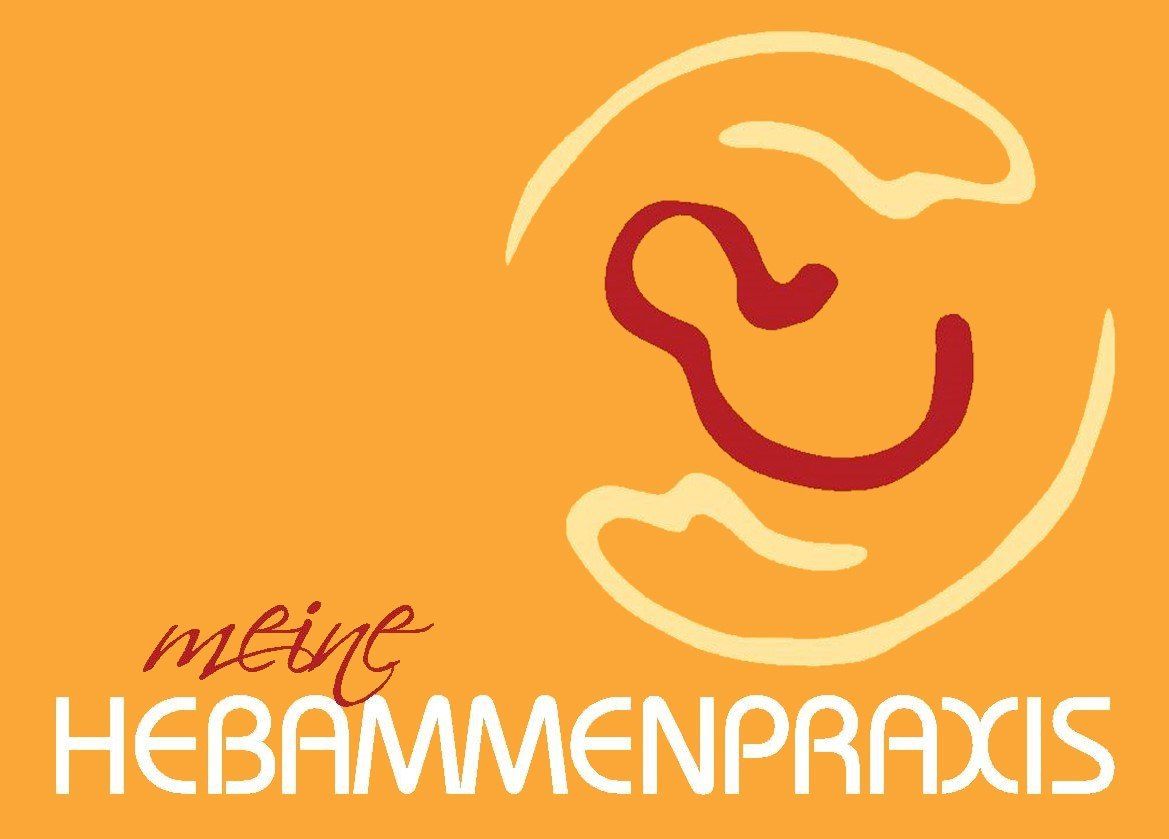 Meine Hebammenpraxis von Petra Summerer Meine Hebammenpraxis
