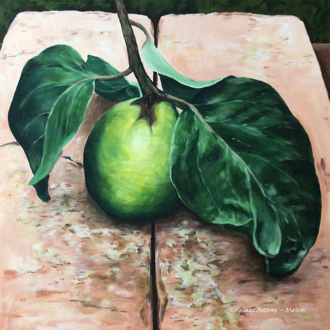 Quitte Steine Blatt grüne Frucht Leidenschaft Realismus Fantasie Helmut Pokorny Malerei