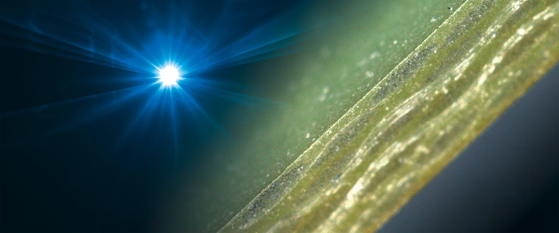 Detailansicht Schnittkante: Laser-Nutzentrennen mit LPKF CleanCut-Technologie