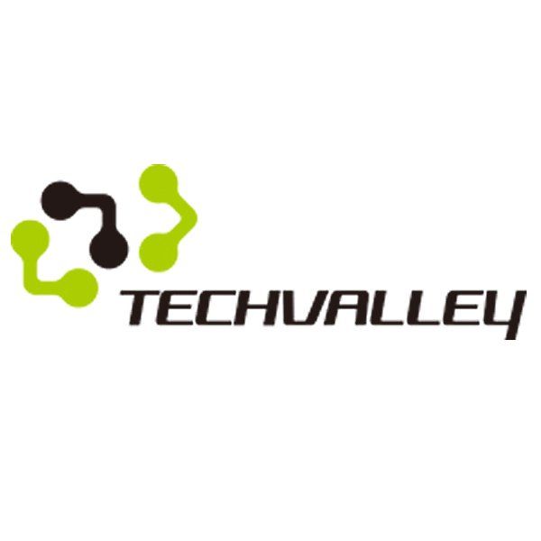 Techvalley Logo