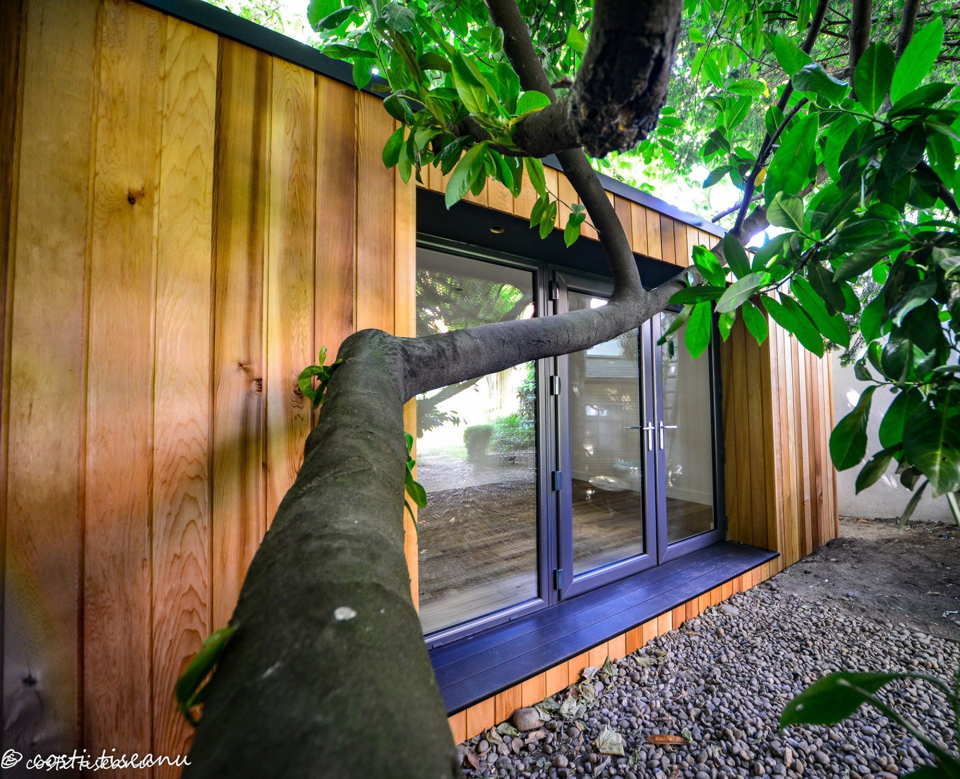granny annexe by TRJ Construction Ltd