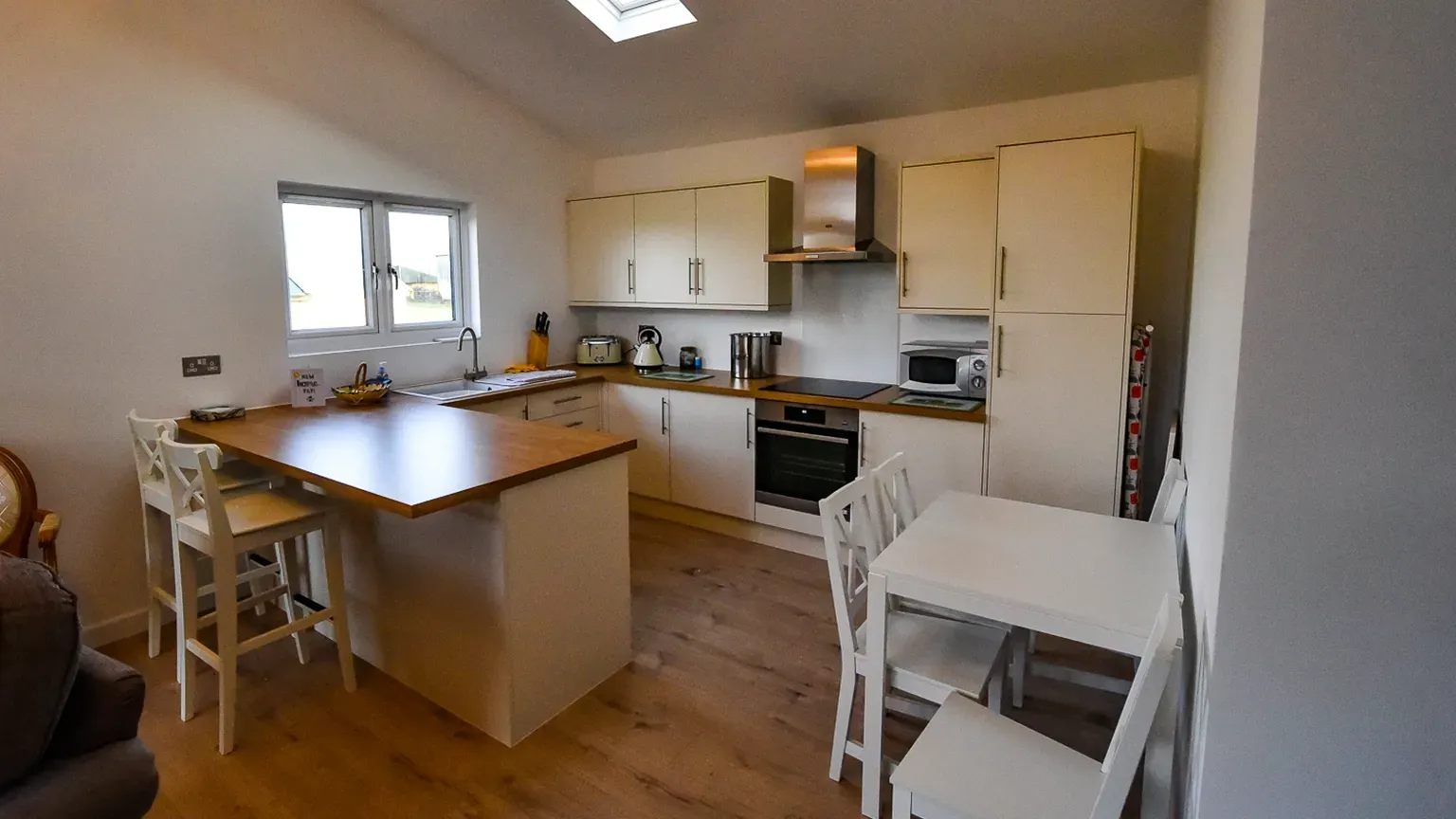 Open-plan annexe living and kitchen layout