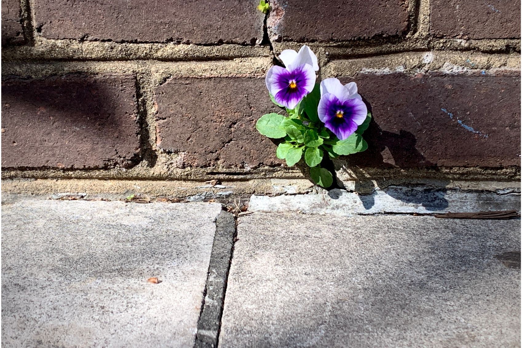 Resilienztraining für Unternehmen Resilienztraining für Unternehmen