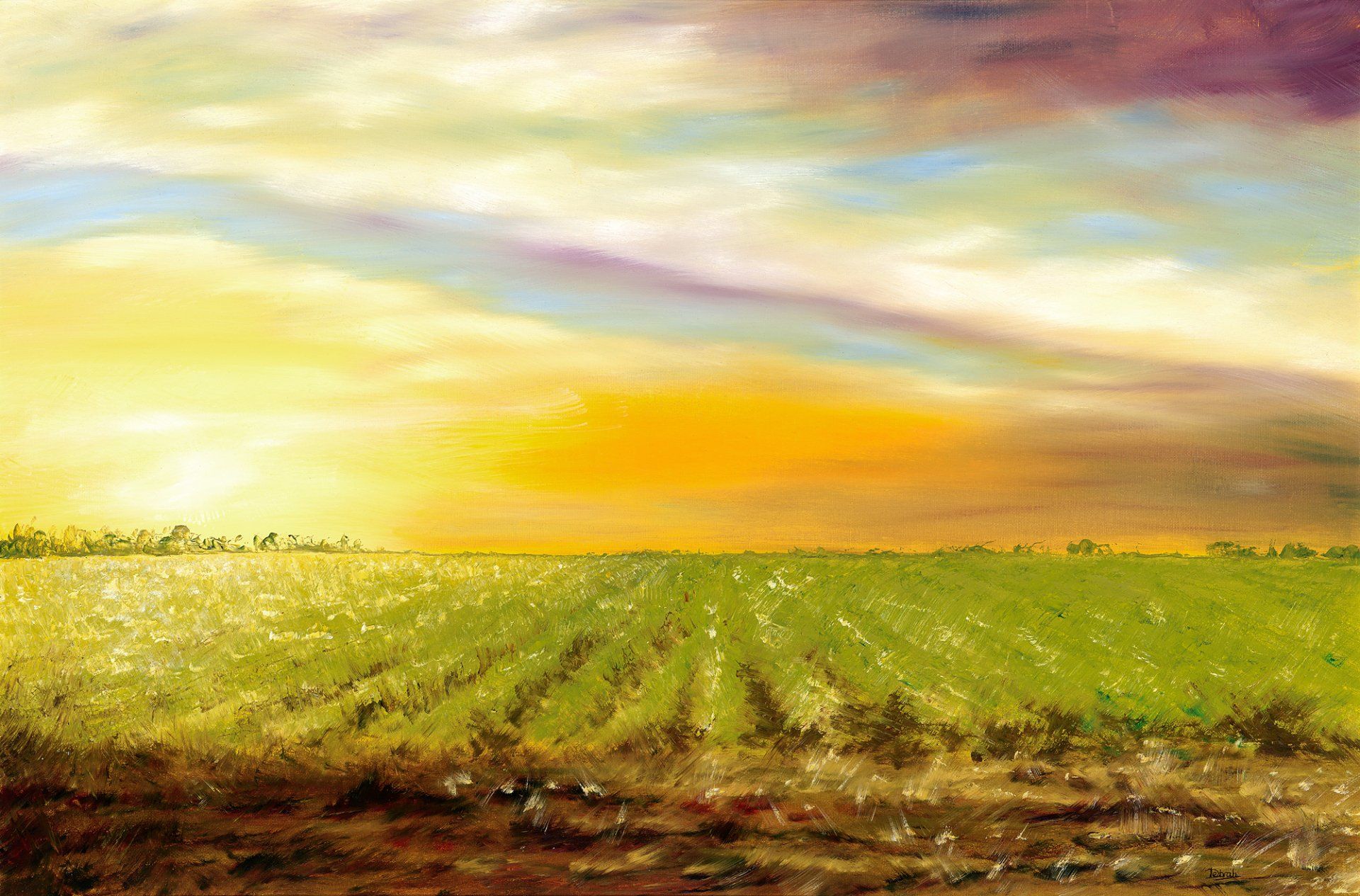 Debrah Martin Artist