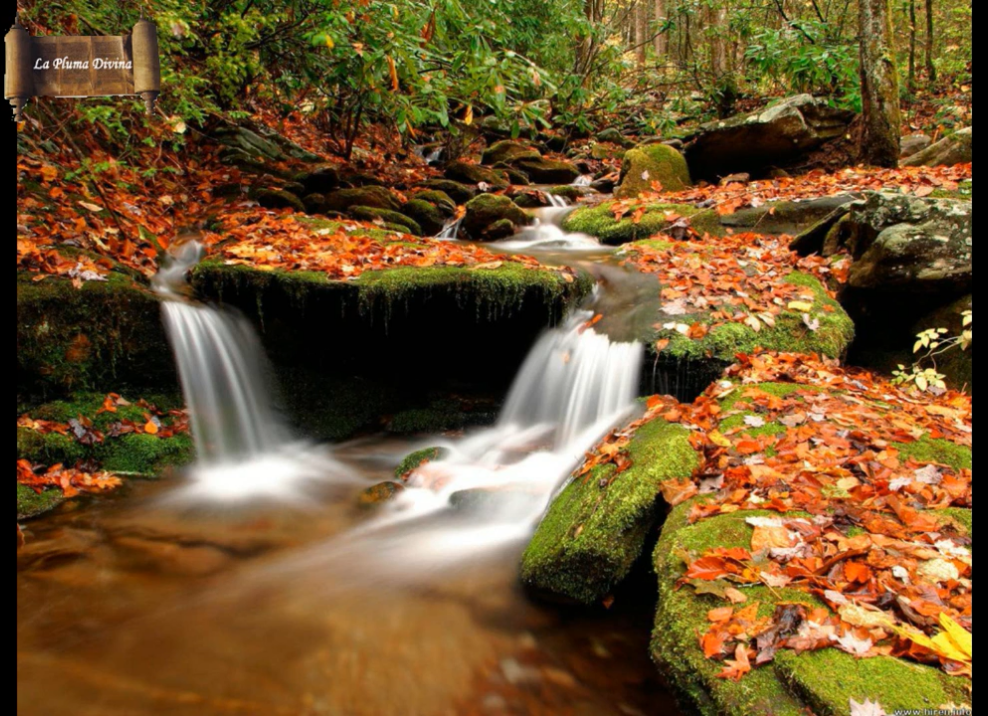 El escribirá una copia de esta Toráh en un rollo para sí mismo y la leerá todos los días