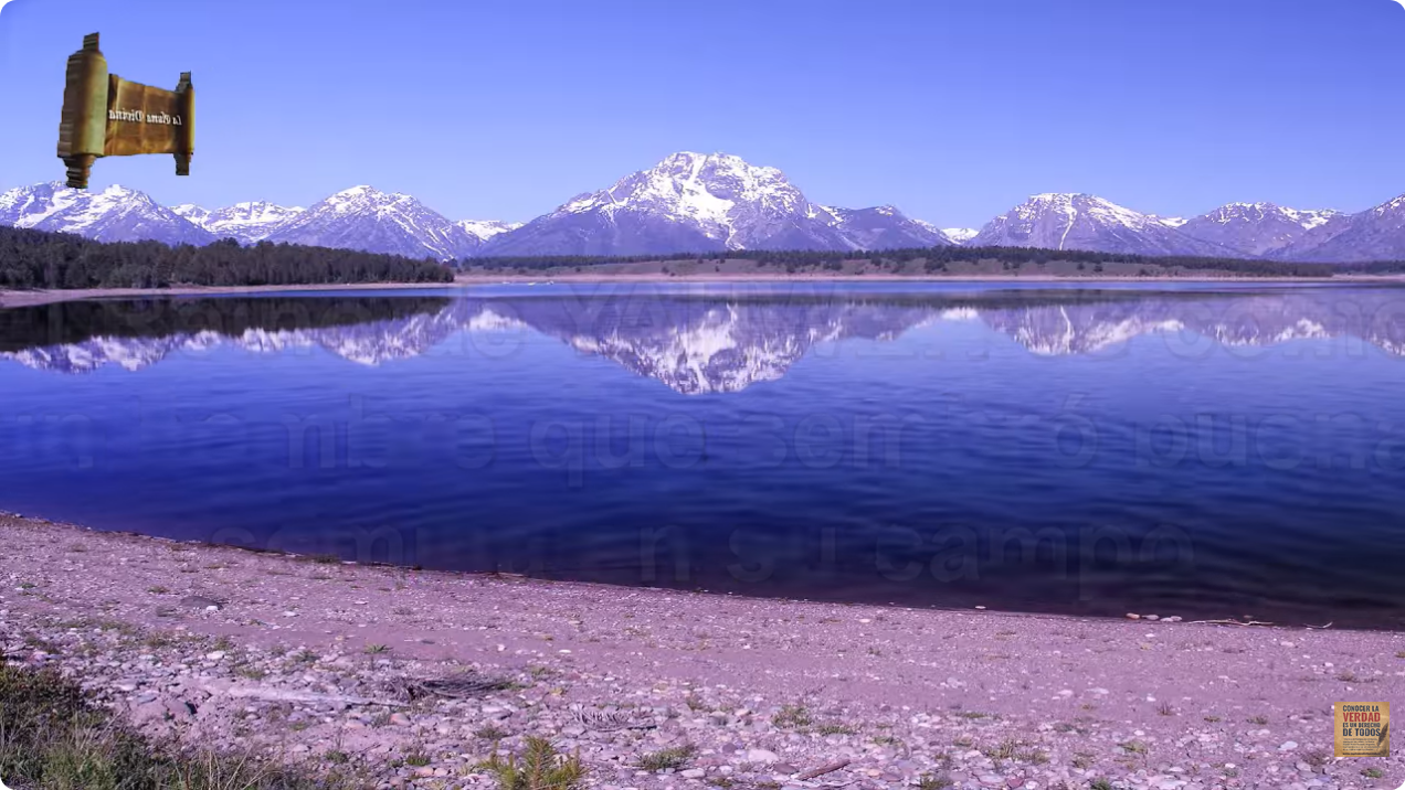 Entonces los trabajadores fueron a decirle al dueño: Adón, ¿no sembraste buena semilla en tu campo?