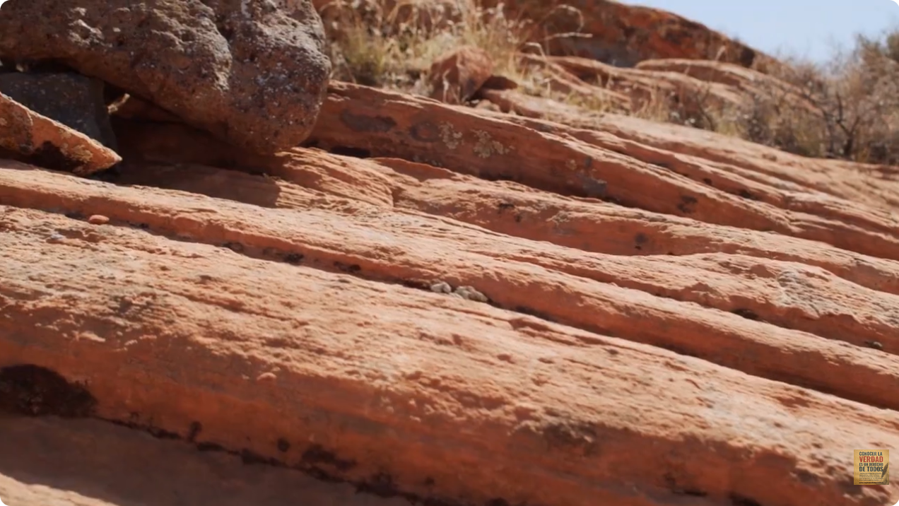 Tengan el cinto de La Verdad abrochado alrededor de sus cinturas...