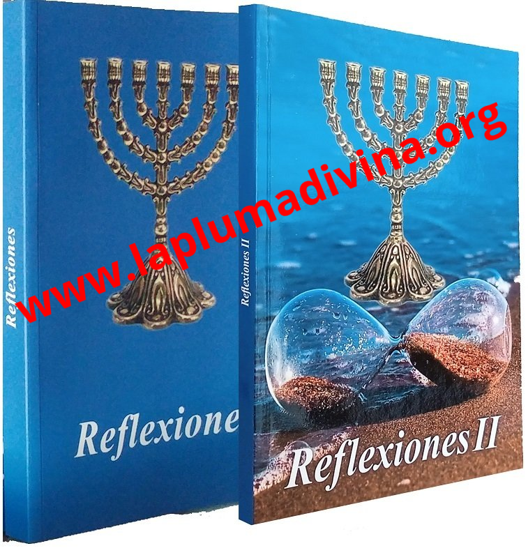 VER LIBRO Reflexiones Divina Atalaya El libro que te da respuestas