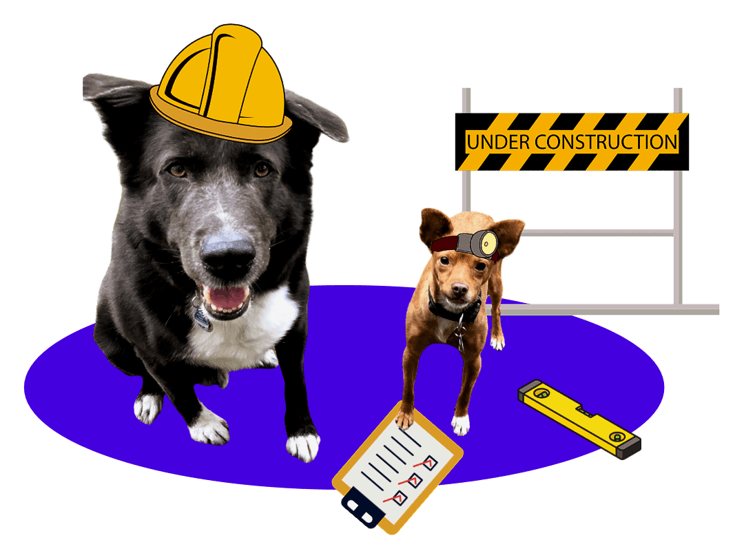 Ein blaues Oval, auf dem Matti und Phoebe stehen. Die beiden Hunde von Luisa. Matti ist ein großer grauer Hund mit weißer Brust und weißen Pfoten. Phoebe ist ein kleiner roter Hund mit großen Ohren und weißer Brust. Sie tragen Bauhelm und Stirnlampe. Hinter ihnen steht ein Baustellenschild. Neben ihnen liegt ein Klemmbrett und eine Wasserwaage.