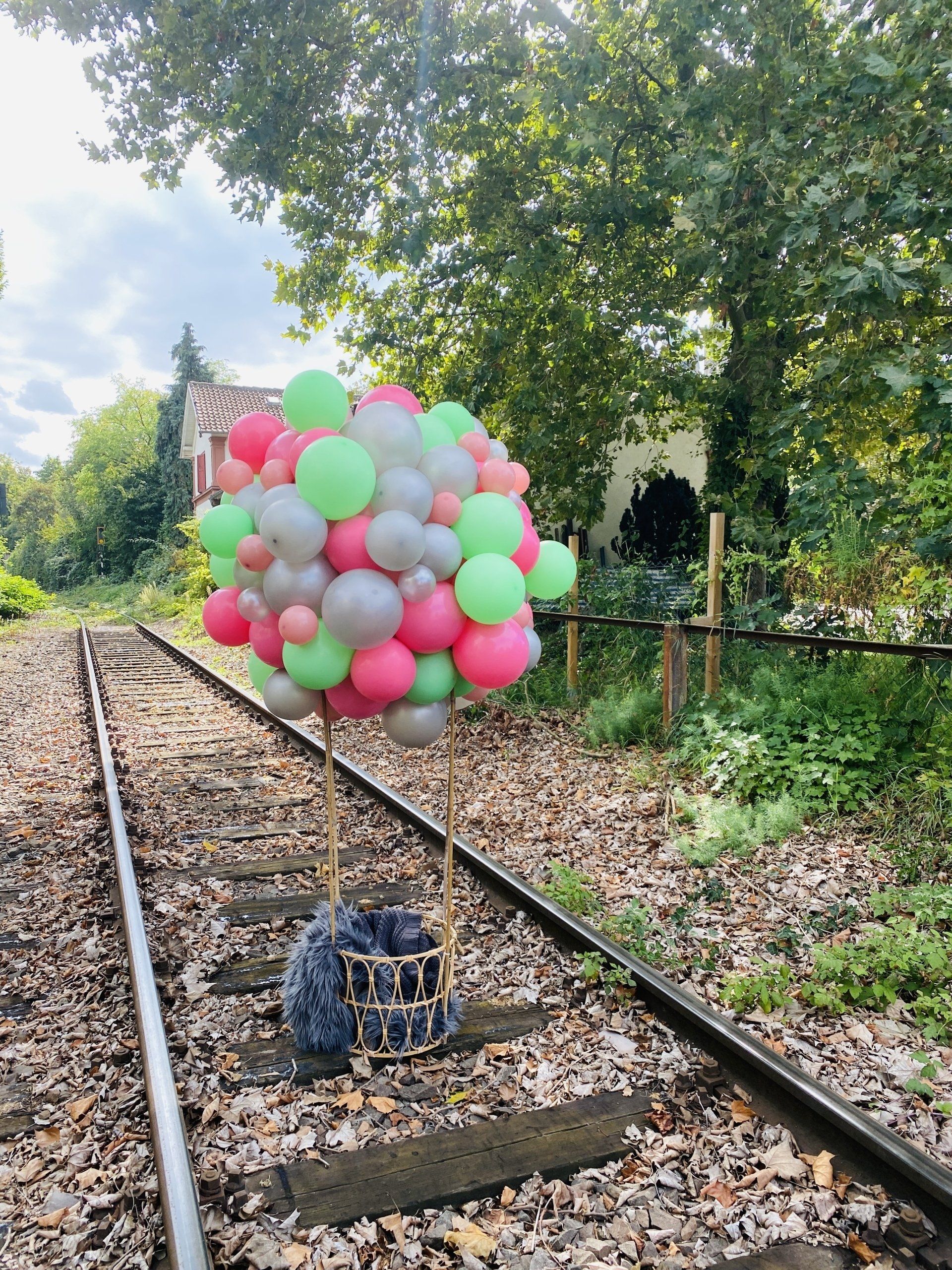 Ballondekoration, Folienballon, Folienzahlen, Luftballon Helium, Speyer, Taufe, Geburtstag, Fotograf, Germersheim, Landau, Bad Dürkheim, Neustadt, Hassloch, Luftballon, Ballondekoration, Dekoration, Hochzeit, Runder Geburtstag, Freie Redner, Dekoration, Dekoballon, Location, Helium, Ballonstrauß, Erster Geburtstag, Geschenk, Kindergeburtstag, Chromeballon, Folienzahl, Dekoration, Kommunion, Taufe, Konfirmation, DJ, Feiern, Party, Dekorieren, Airwalker, Zahlen, Buchstaben, Event, Ballon, Babyparty, Junggesellenabschied, Gender Reveal Party, Standesamt, Trauung, Balloon, Hockenheim, Heidelberg