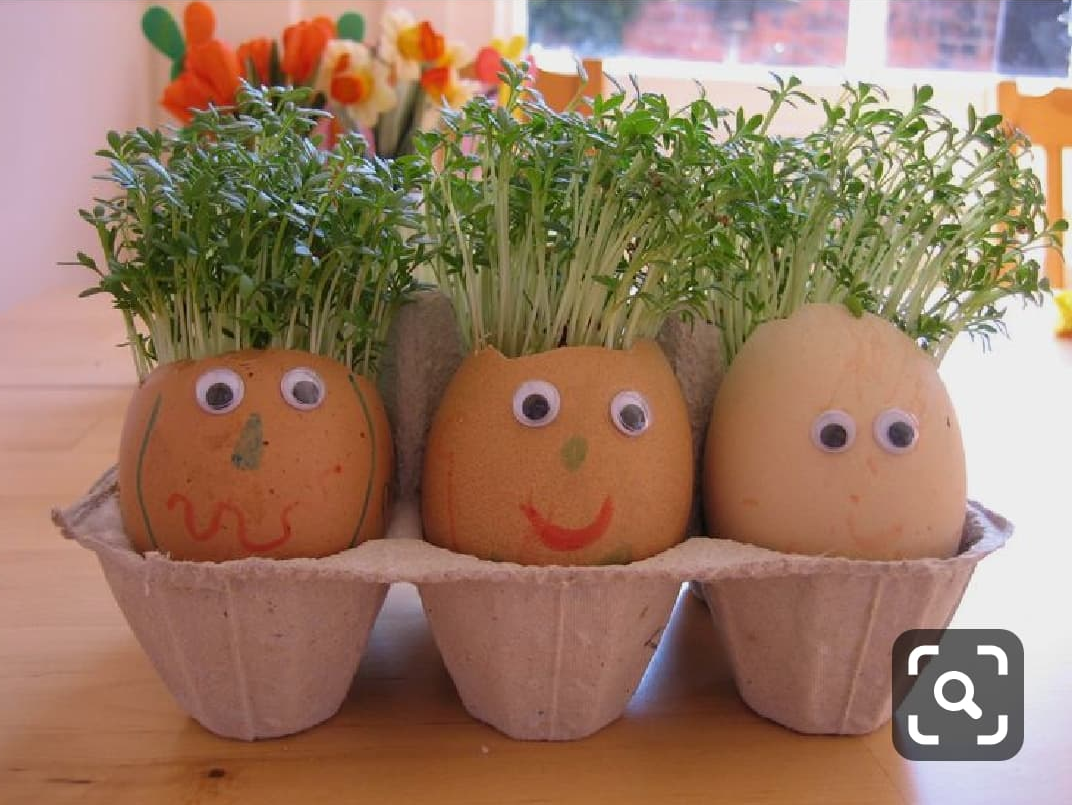 Messy Easter Cress Heads