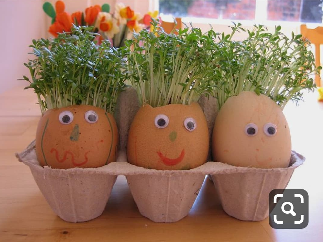 Messy Easter Cress Heads Messy Easter Cress Heads