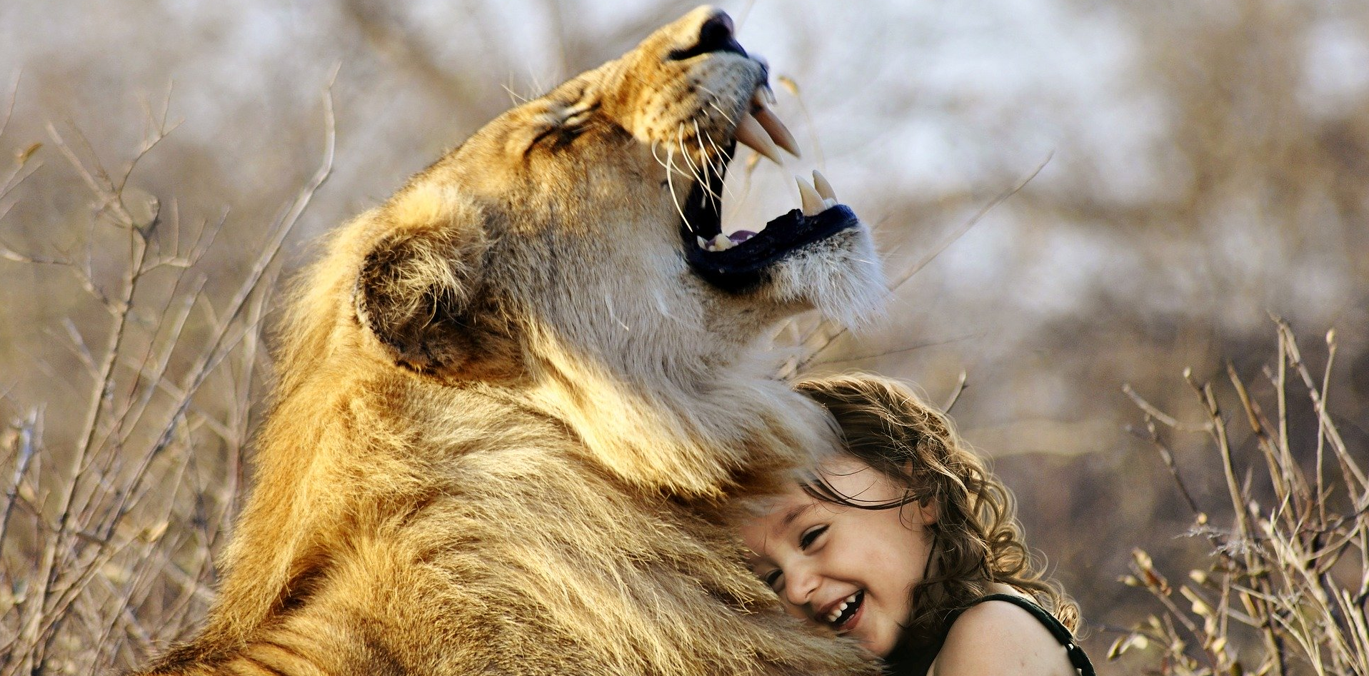 El Gran Líder, de fiera a humano.