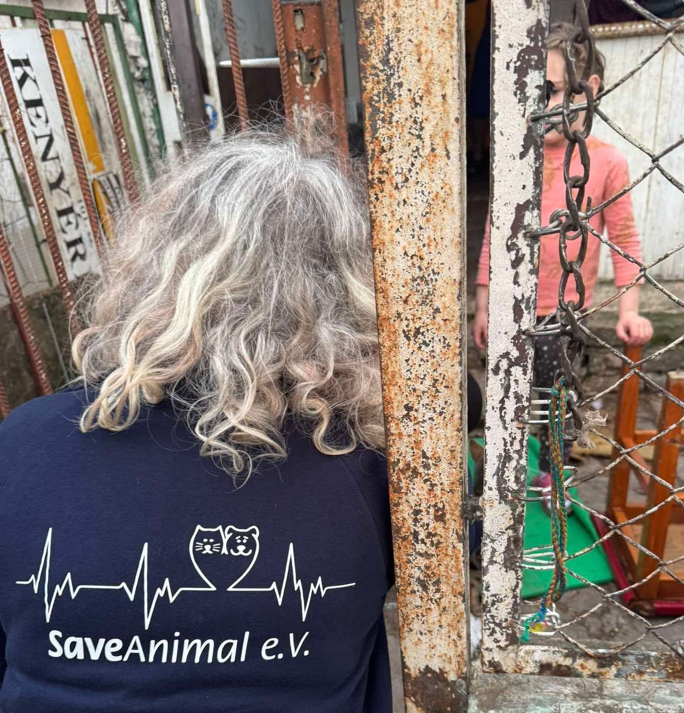 Ungarische Hunde im Tierheim