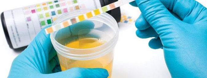 medical laboratory services