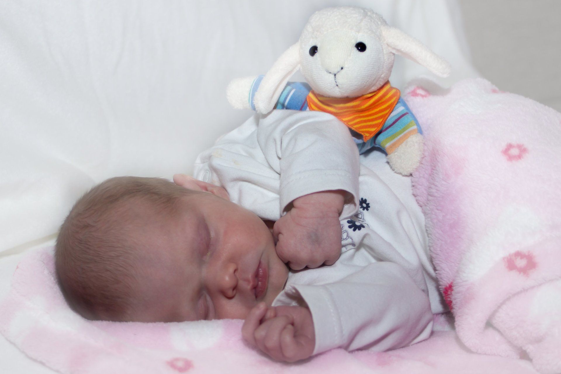 Baby schlafend auf rosa Decke mit Plüschschäfchen