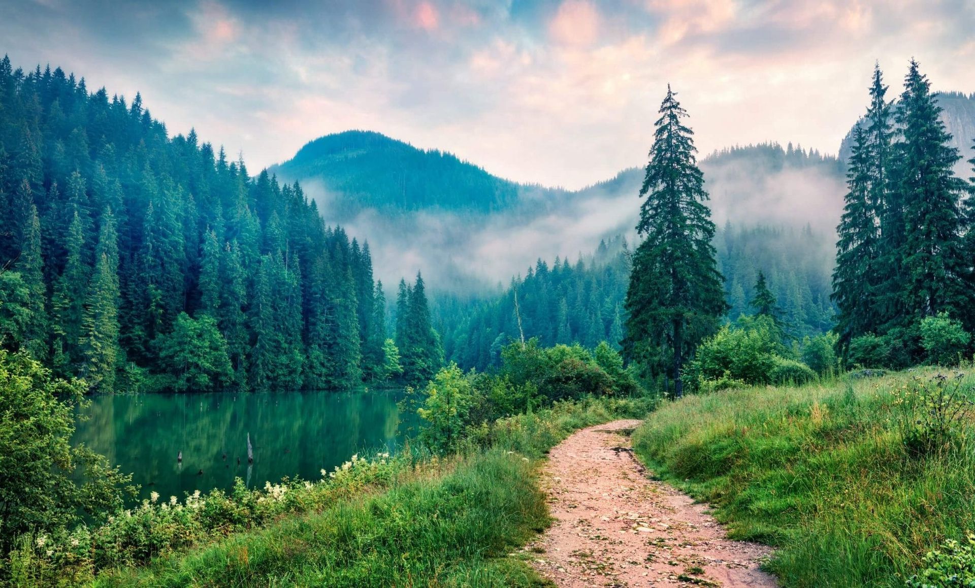NATURE ET atrure e