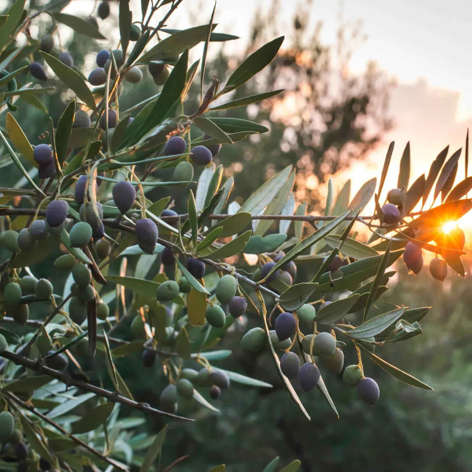 changer de paradigme