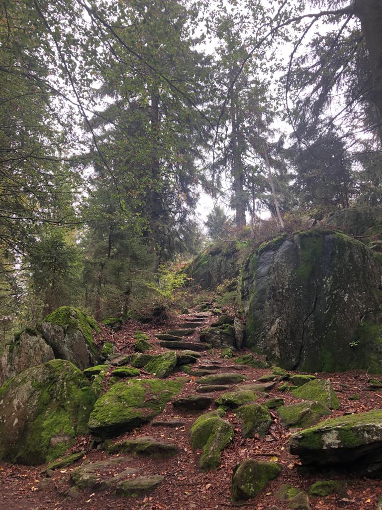 Wanderweg