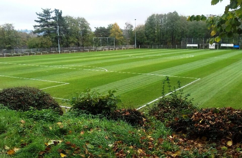 Unser Rasenplatz (Grüne Asche)