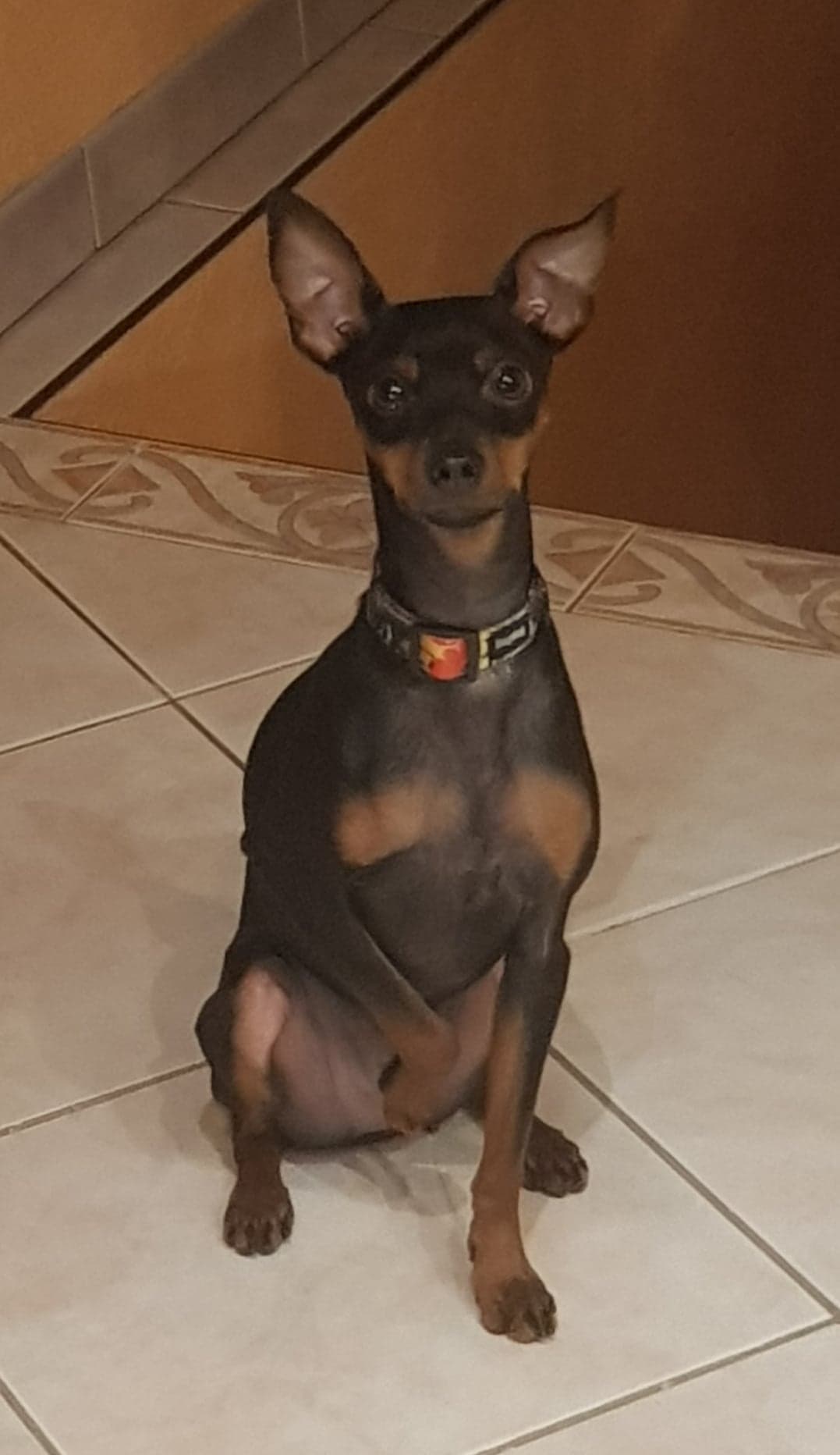 Lucky le destructeur