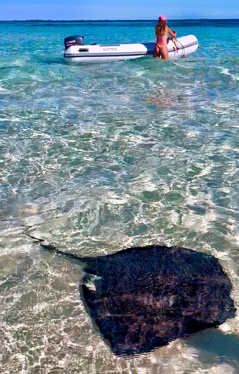 Flexboat UTILITY RIBS