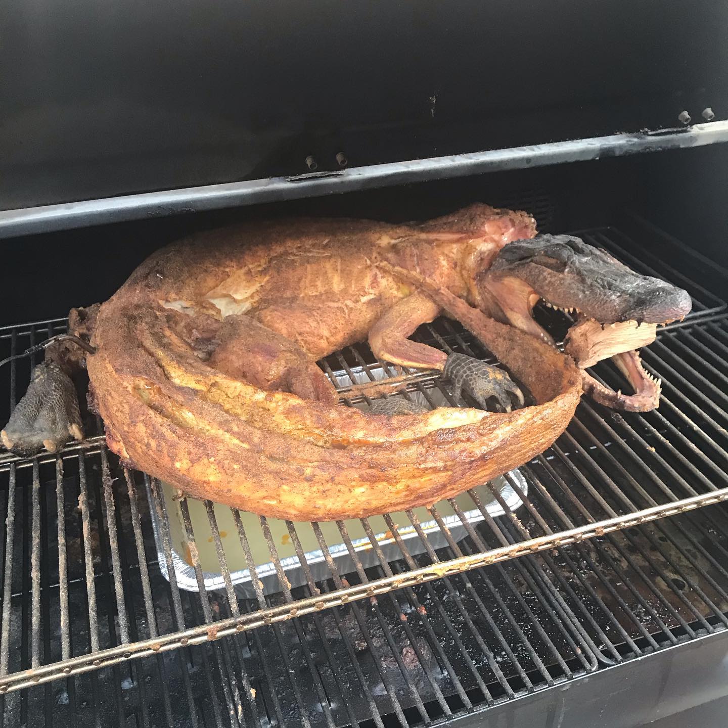 whole alligator on the pellet grill