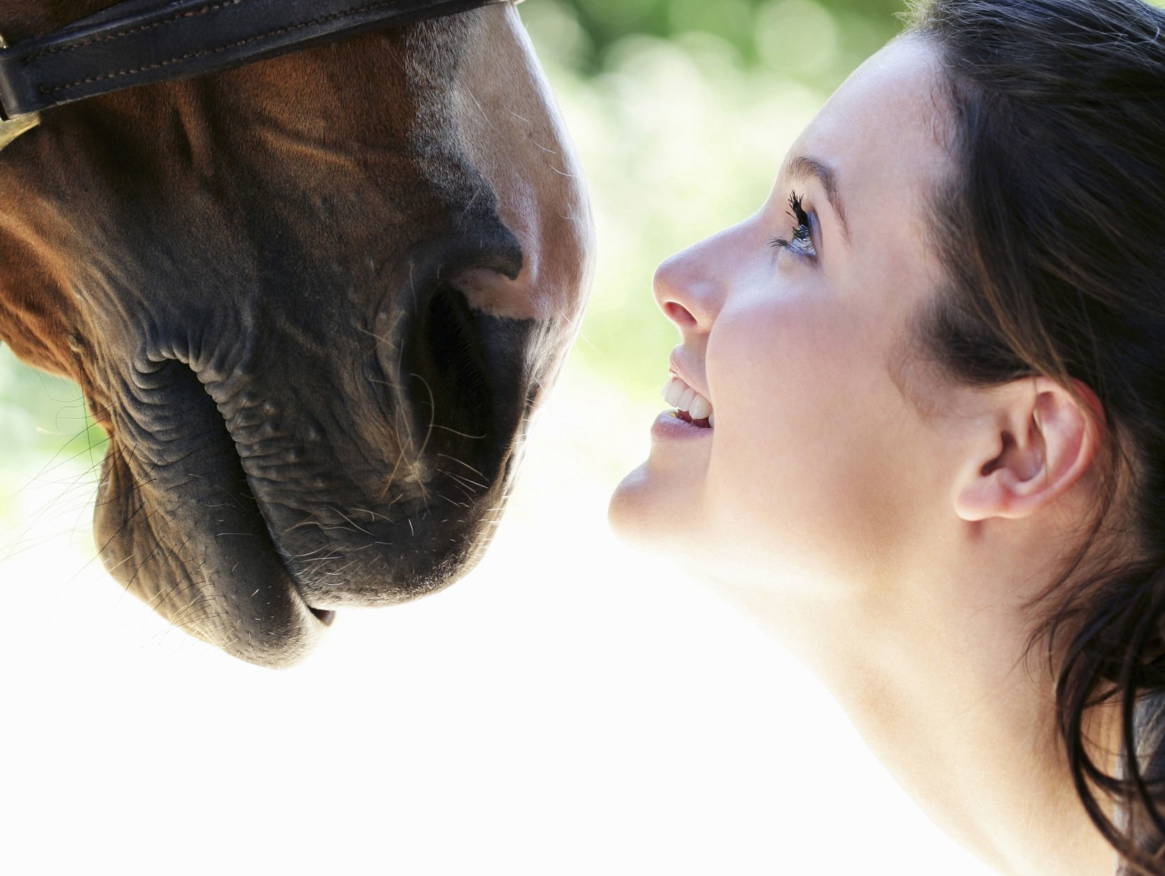 Livre Soyez cheval