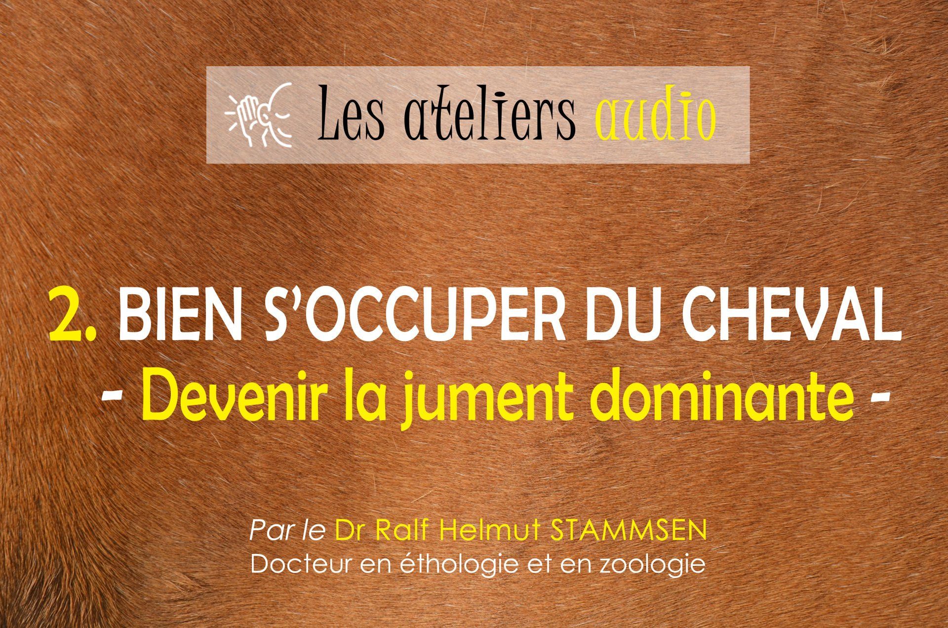 Bien s'occuper du cheval - Gérer la peur Bien s'occuper du cheval - Gérer la peur