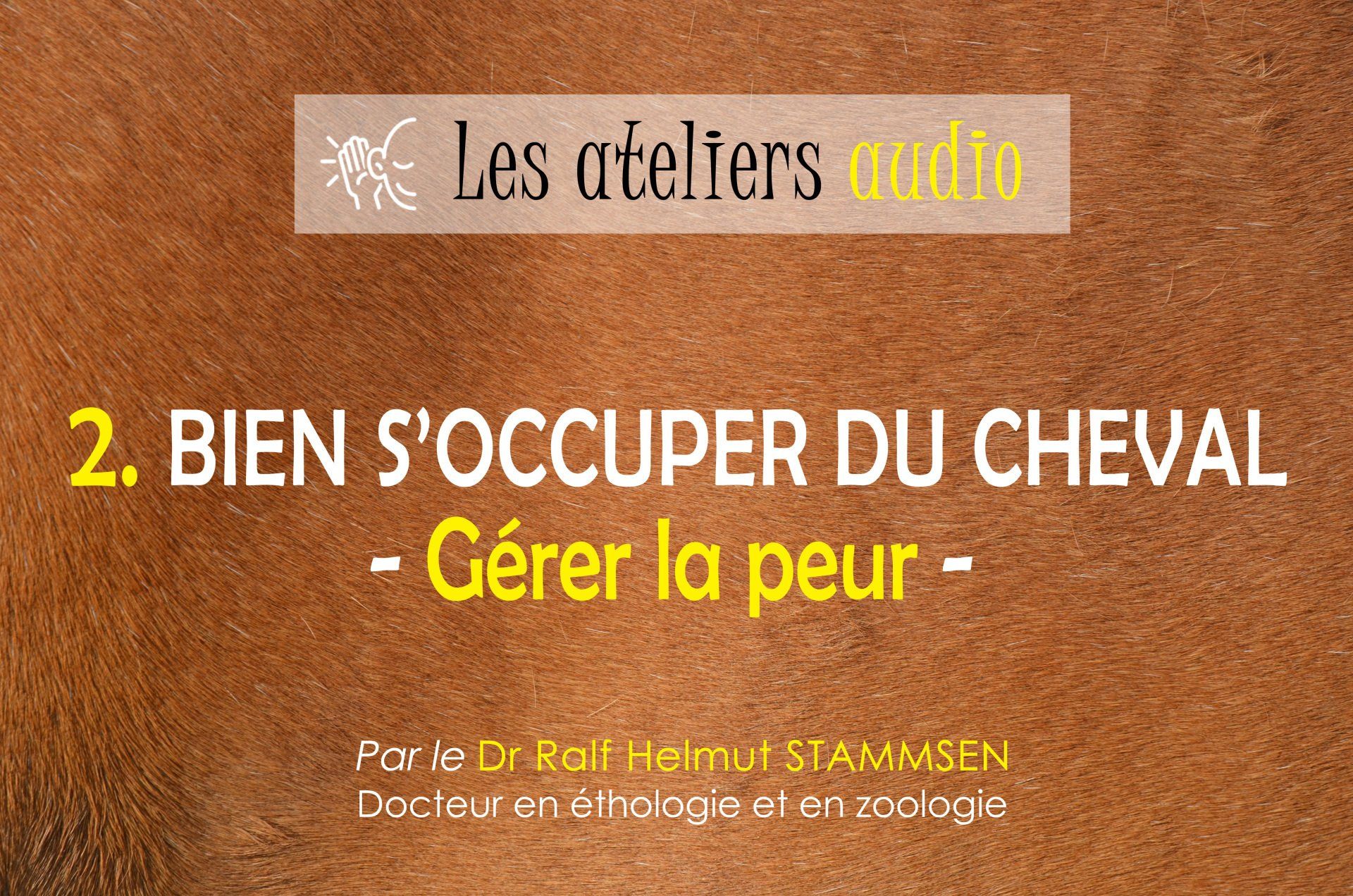 Bien s'occuper du cheval - Gérer la peur Bien s'occuper du cheval - Gérer la peur