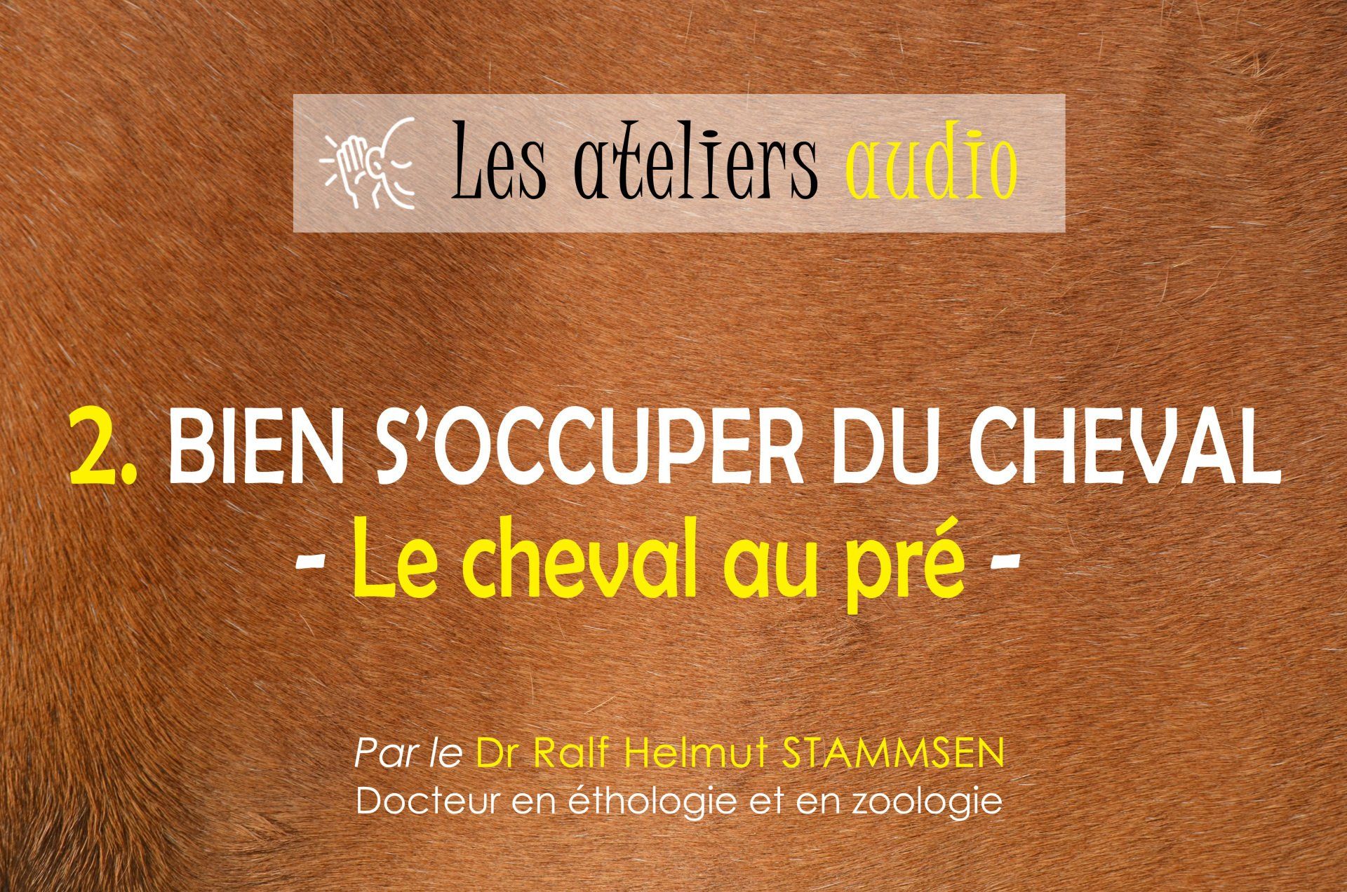 Bien s'occuper du cheval - Gérer le stress Bien s'occuper du cheval - Gérer le stress