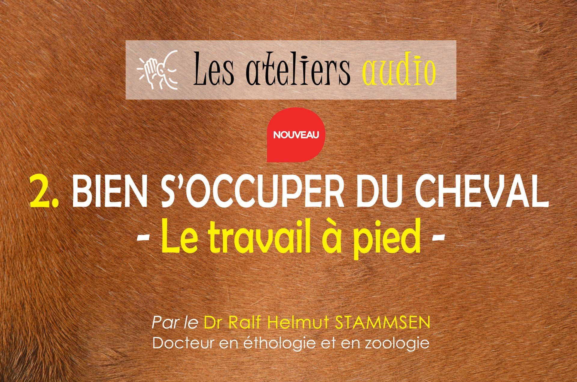 Bien s'occuper du cheval - Gérer le stress Bien s'occuper du cheval - Gérer le stress