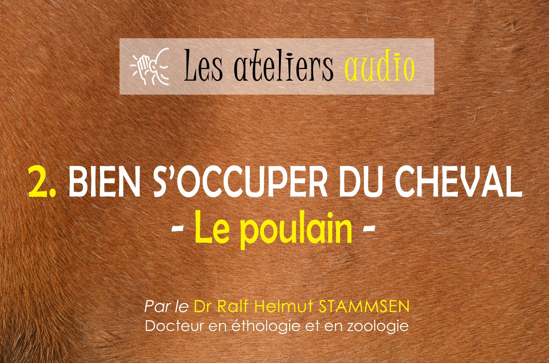 Bien s'occuper du cheval - Gérer le stress Bien s'occuper du cheval - Gérer le stress