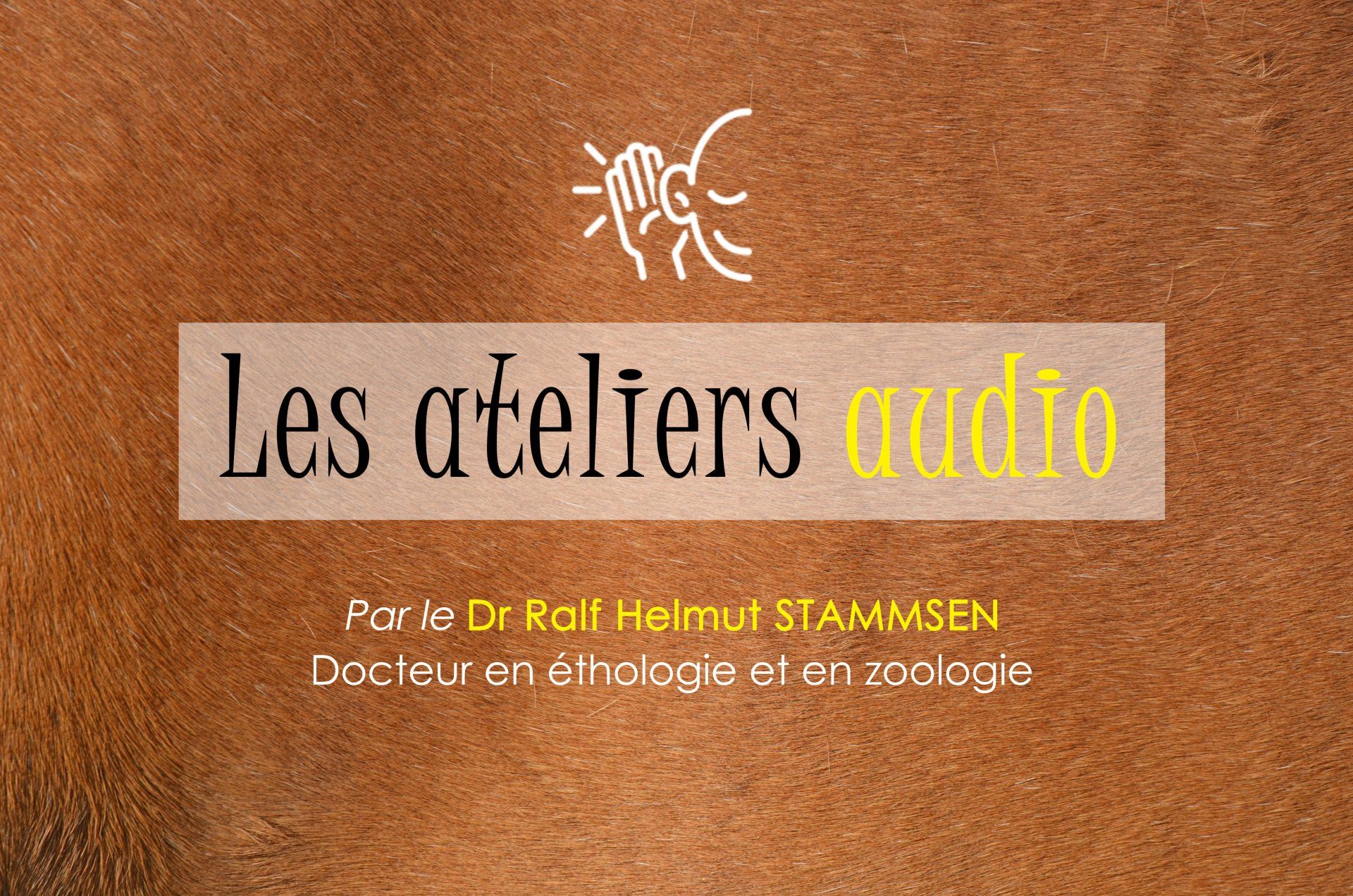 Les ateliers audio