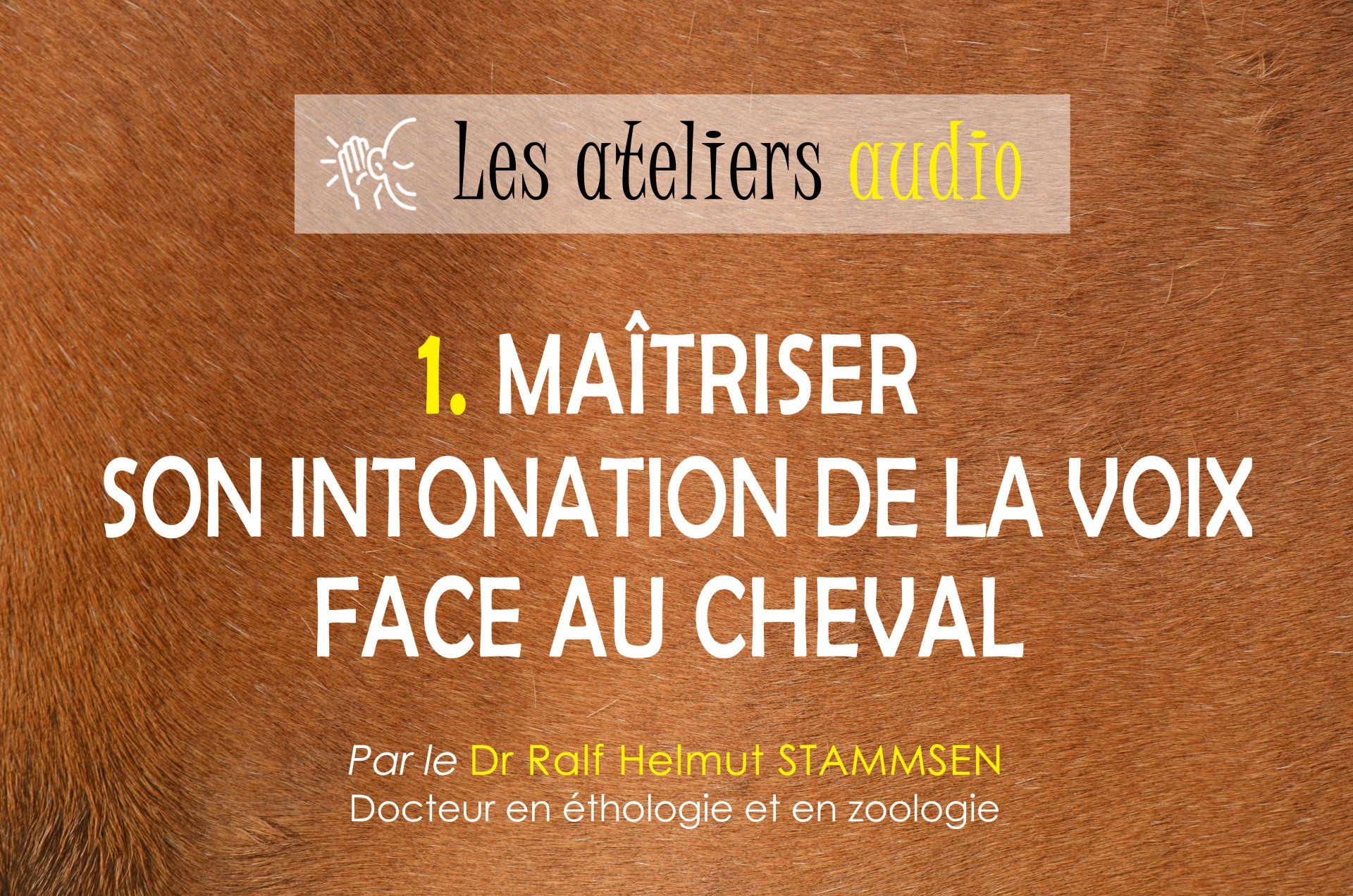 Maîtriser son intonation de la voix face au cheval Maîtriser son intonation de la voix face au cheval