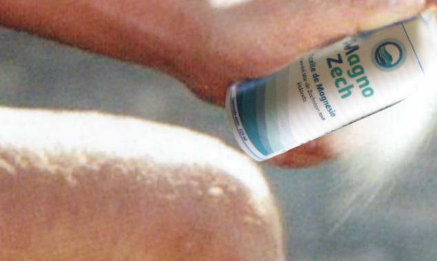 Magnozech Magnesium