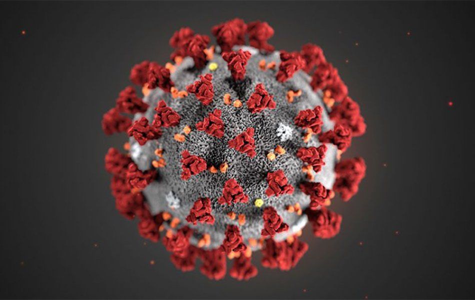 Il nuovo coronavirus SARS-Cov-2