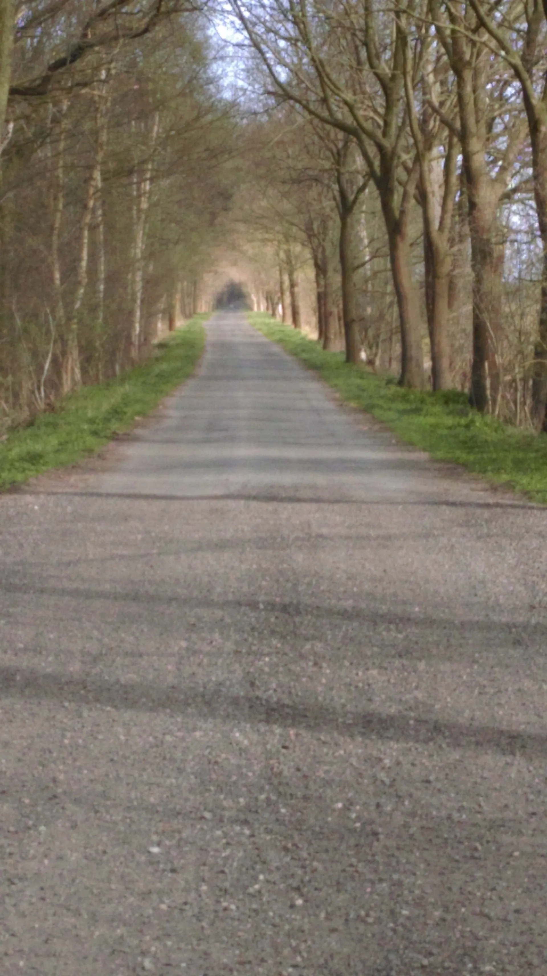 Mein Weg zum Beruf des Trauerredners