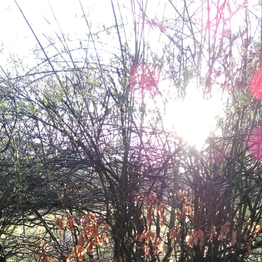 Das Leben ist einzigartig