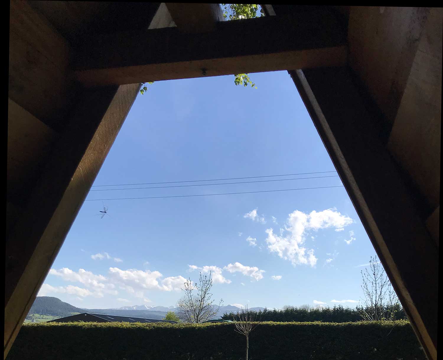 View from the Tentenbois over the Sancy massif