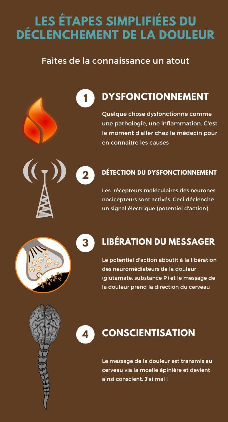 Les étapes du déclenchement de la douleur