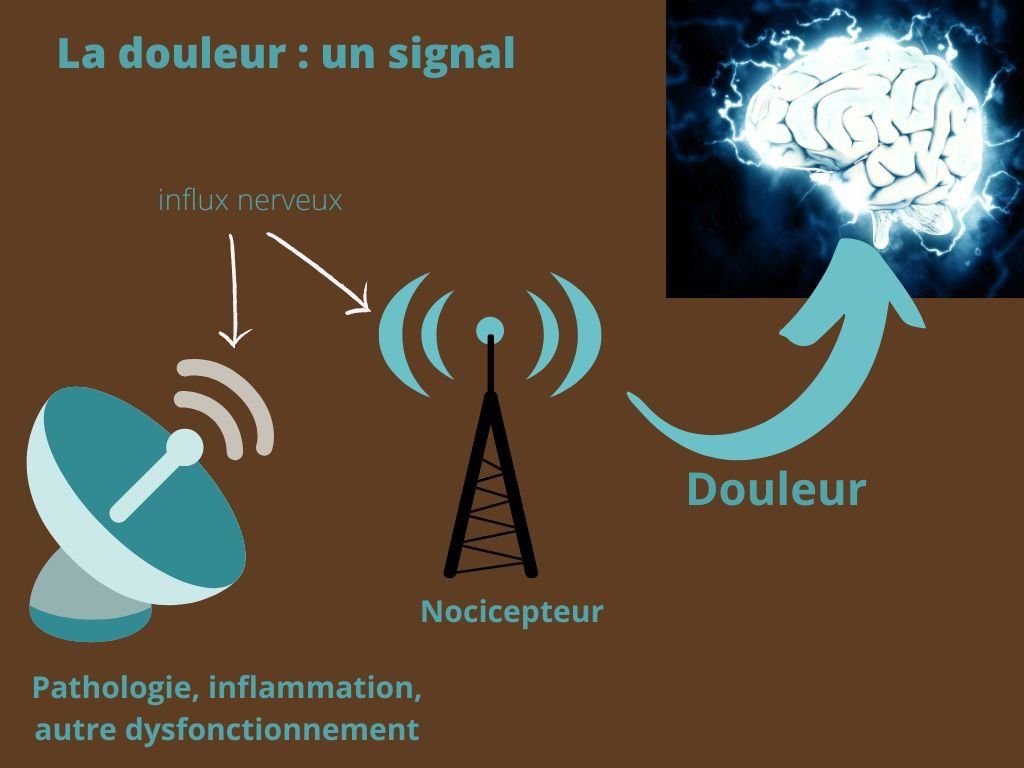 La douleur est un signal