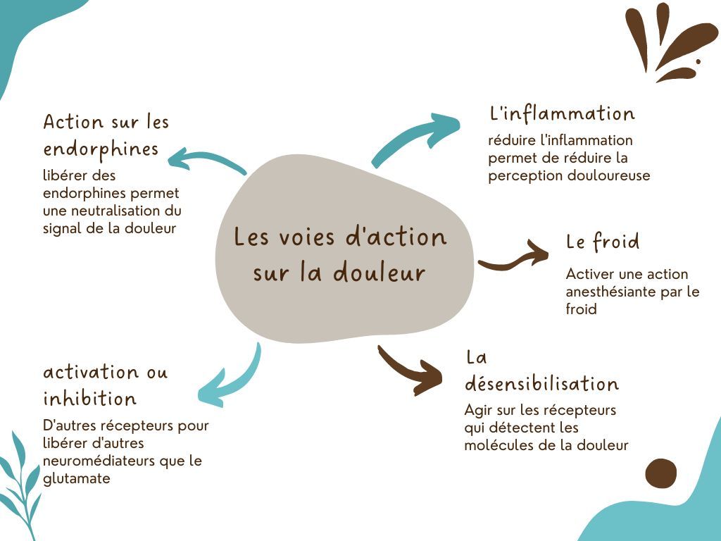 action des huiles essentielles sur la douleur