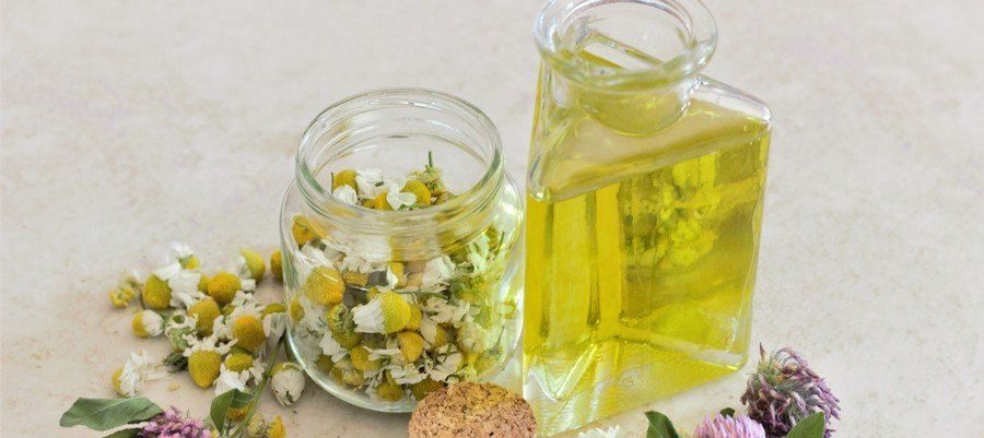 plantes médicinales et aromatiques