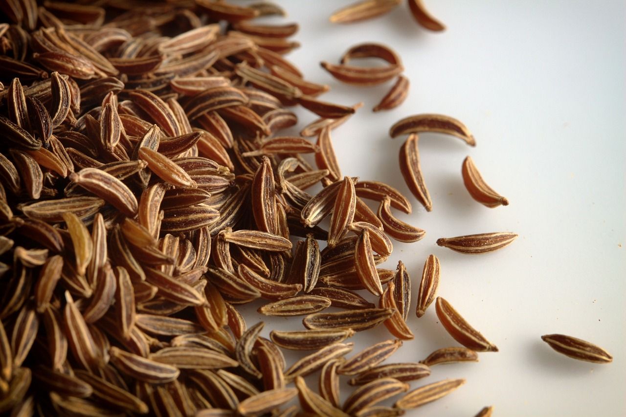 Cumin des prés, anis des Vosges