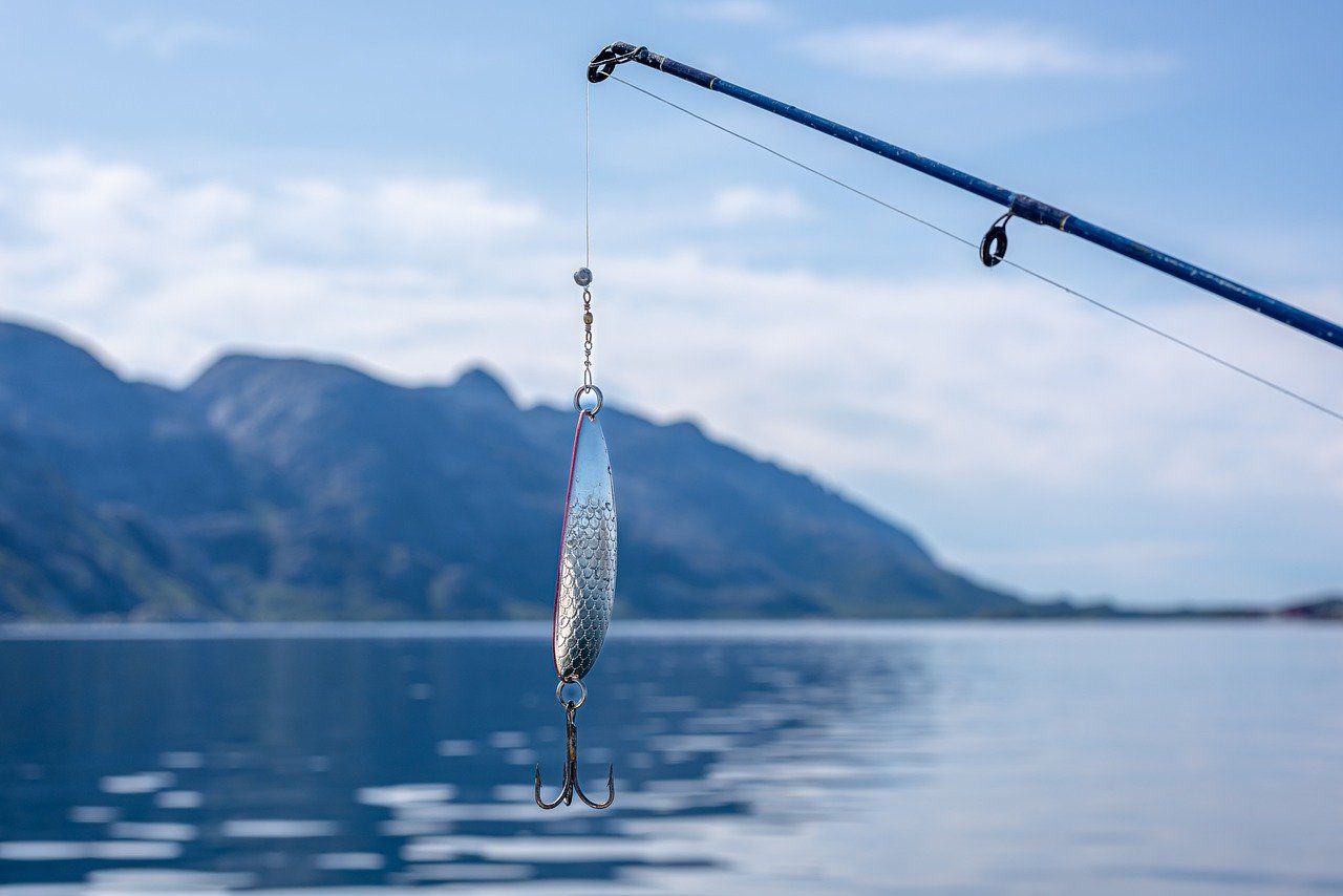La métaphore de la pêche sportive selon l'ACT