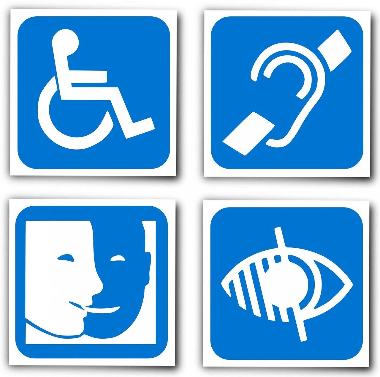 différentes formes de handicap