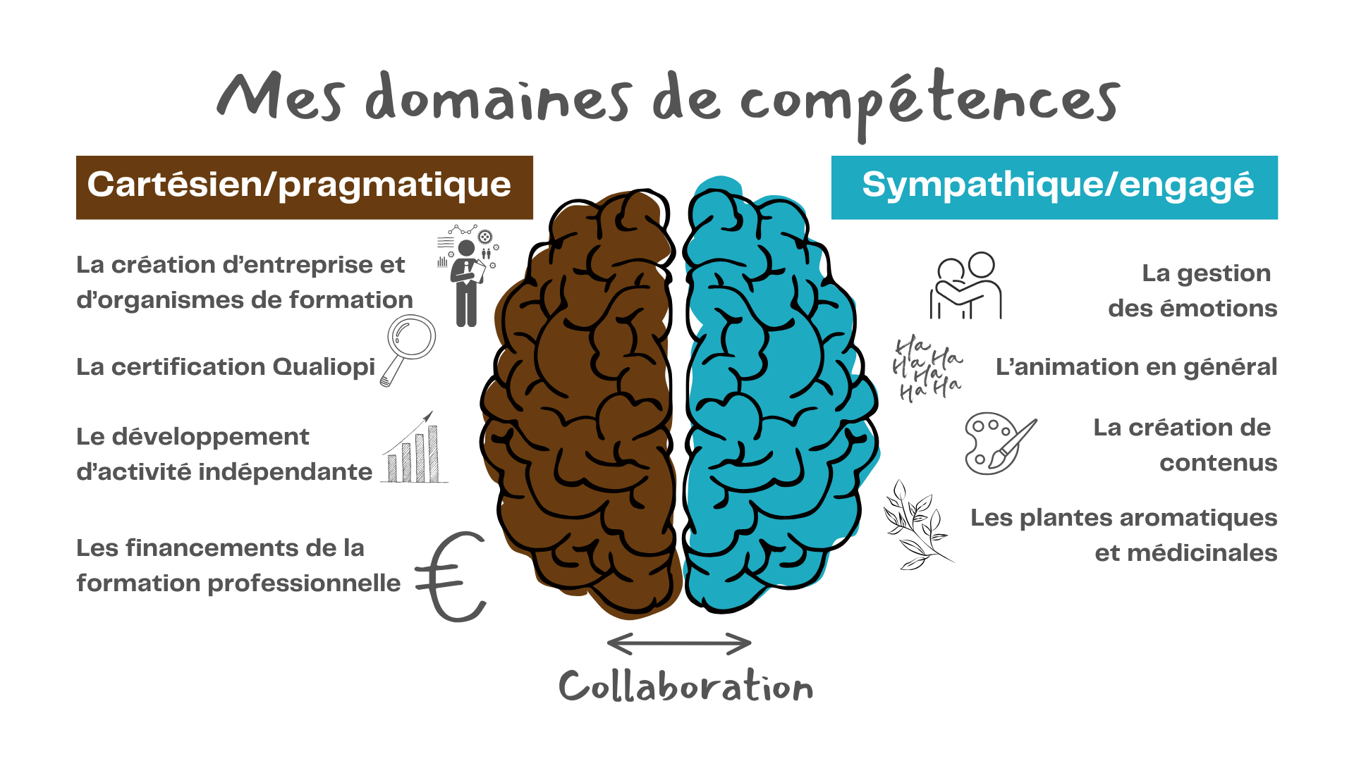 Les compétences de Philippe ANDREOLI