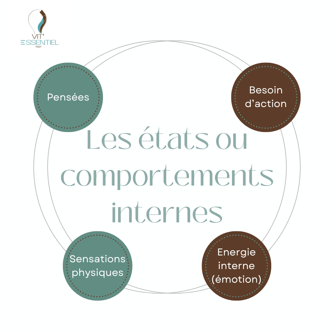 les états ou comportements internes : émotions, pensées, sensations physiques et appel à l'action