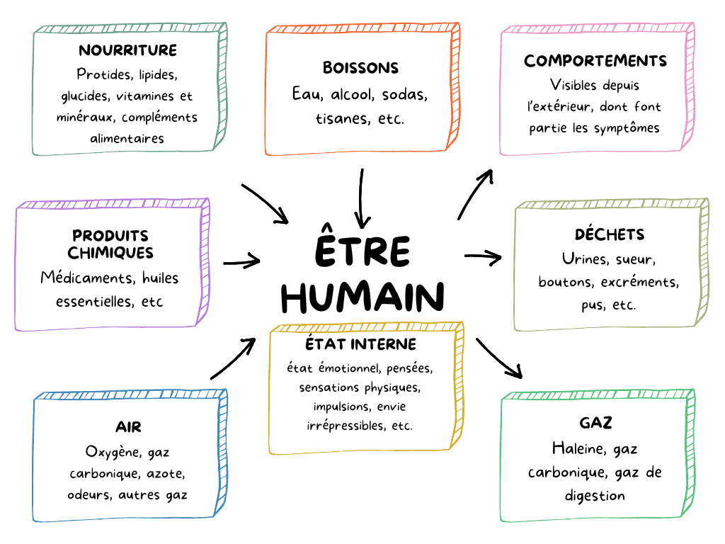Ecosystème humain